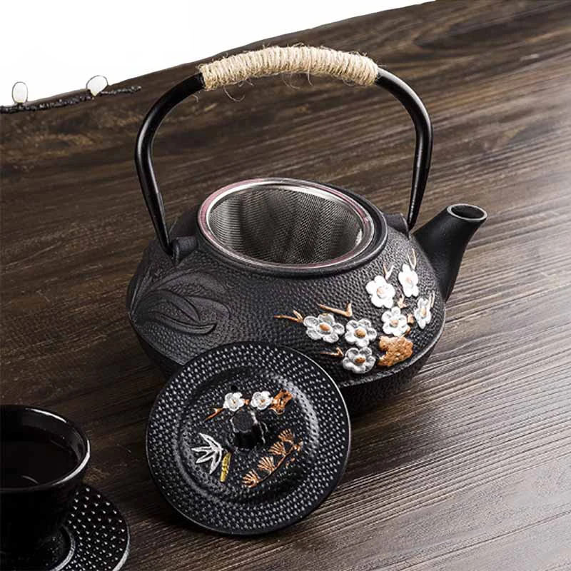 Bottiglia d'acqua in ghisa con - Cast Iron Teapot recensione e prezzo