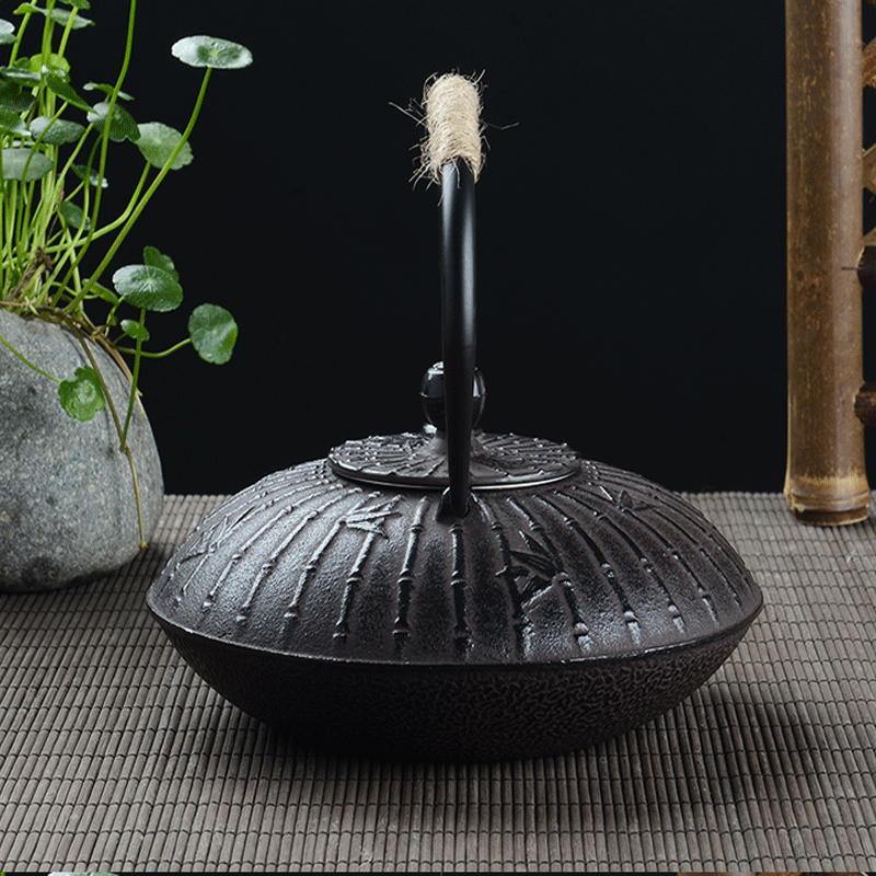 Teiera Retrò in Ghisa da 900ml - Cast Iron Teapot recensione e prezzo