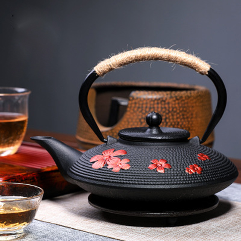 Bollitore per tè in ghisa con  - Cast Iron Teapot recensione e prezzo
