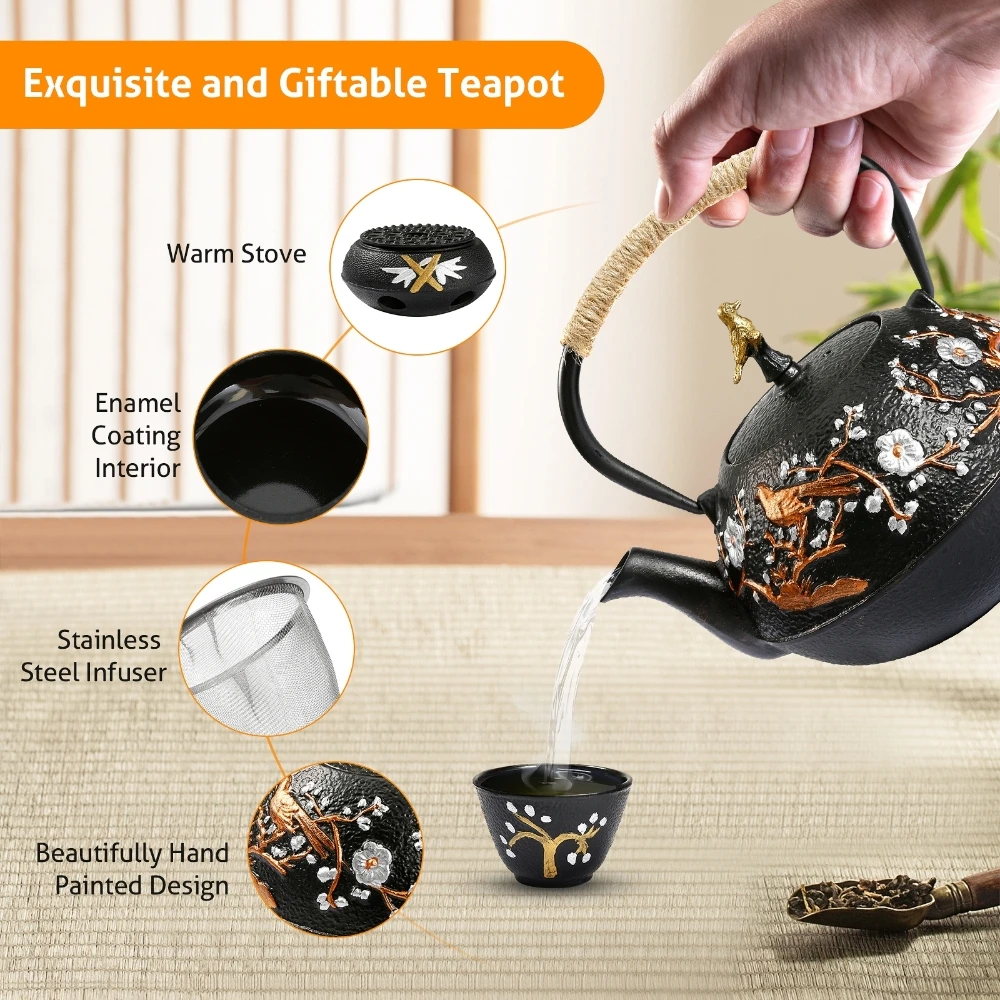 Set teiera in ghisa con fornel - Cast Iron Teapot recensione e prezzo