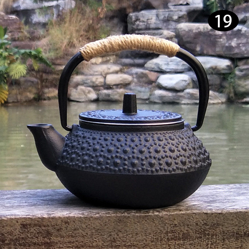 Teiera Giapponese Retrò in Ghi - Cast Iron Teapot recensione e prezzo